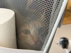 -艾贝尔宠物医院 ·中兽医·宠保定点(北门桥店)