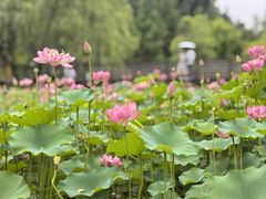 -沐仙湖湿地公园