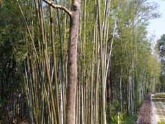 -广东温泉宾馆