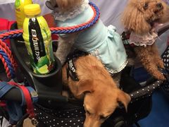 -东浩兰生上海世博展览馆