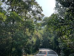 -南京老山国家森林公园