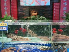水产区-船歌·鱼水饺青岛菜(闽江二路店)