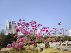 -南宁南湖公园