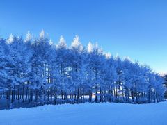 -密苑云顶乐园(云顶滑雪场)