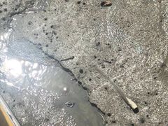 -北海金海湾红树林生态旅游区