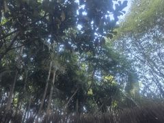 -广州从化都喜泰丽度假酒店温泉