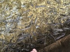 -明谷行馆·温泉