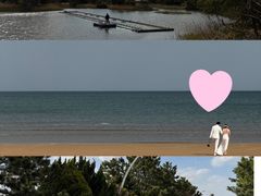 -山东八大碗山东老字号