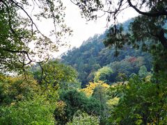 -北京上方山国家森林公园