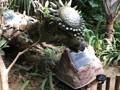 -呀路古热带植物园