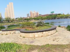 -前关湿地公园