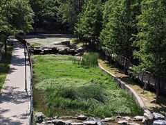 -白水寺森林公园