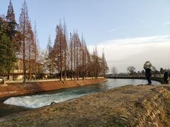 -蜀绣公园