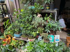 -青石桥花鸟鱼虫市场(叠翠城店)