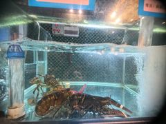 -顺意·顺德家乡菜(国际人才大厦店)