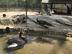 -武汉紫薇都市田园