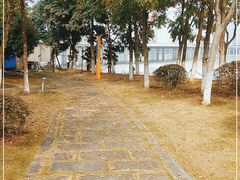 -艾溪湖湿地公园