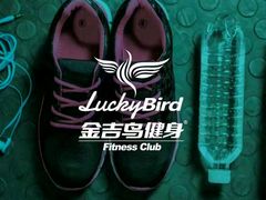 -金吉鸟健身游泳