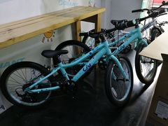 -GIANT捷安特自行车专卖店(金桥台儿庄路店)