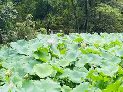 -成都杜甫草堂博物馆