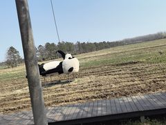 -合肥滨湖国家森林公园