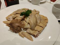 -金河半岛园林酒家(金融城店)