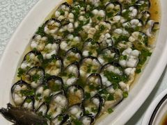 -呼吸森林·生态农庄农家乐私房菜