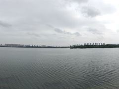 -丁香湖公园
