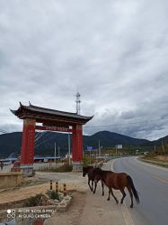 -纳帕海依拉草原