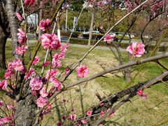 -渤公岛生态公园