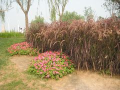 IMG_4240-西安世博园