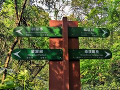 -杭州半山国家森林公园