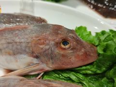 -添福来墨鱼饺子 · 海鲜东北菜(大连星海·黄浦路店)