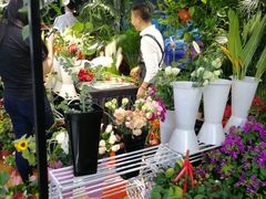 -上海德星奔驰(江杨南路店)