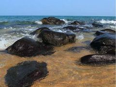 -漳州滨海火山岛自然生态风景区