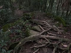 -海窝子古镇