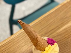 云南小叶蜜桔-Dal Cuore 达可芮冰淇淋(陕西北路店)