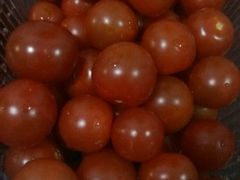 -北戴河集发农业梦想王国