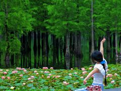 -白鹭湾湿地公园