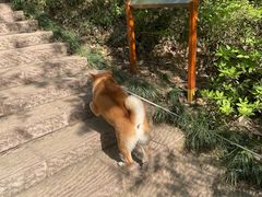 -杭州半山国家森林公园