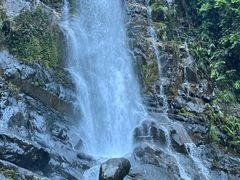 -鼎湖山风景区