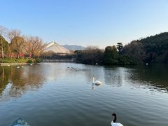 -杭州野生动物世界