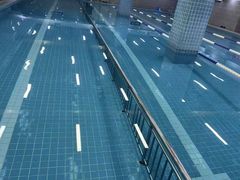 -重庆市奥林匹克体育中心-游泳跳水馆