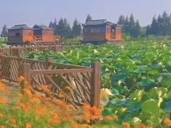 -军山湖云水间生态农业旅游景区