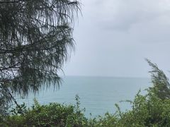 -广东惠东海龟国家级自然保护区