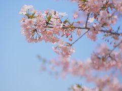 -上海辰山植物园