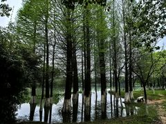 -艾溪湖湿地公园