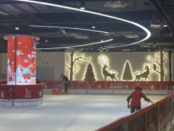 -冰世界真冰场(欢乐汇店)