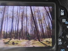 -硗碛藏寨·神木垒景区