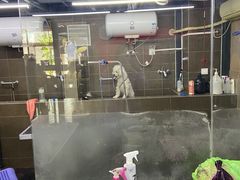 -美联众合动物医院(唯恩分院)